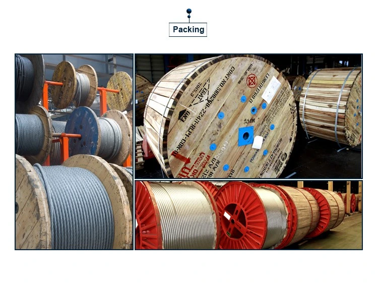 Hot DIP Galvanized Wire Messenger Wire Galvanized Steel Cable Stay Wire