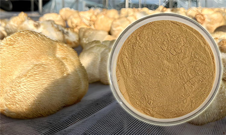 Plant Extract