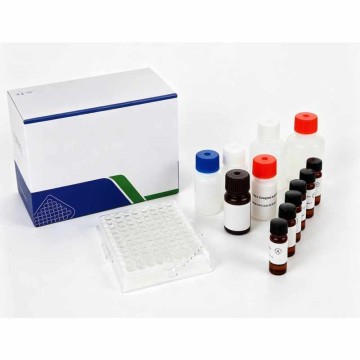 Drug testing kit