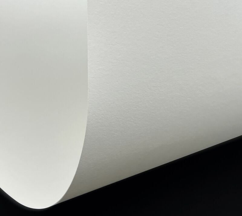 Printing paper/specialty paper