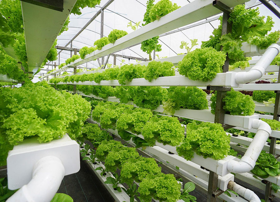 Intelligent greenhouse/greenhouse equipment