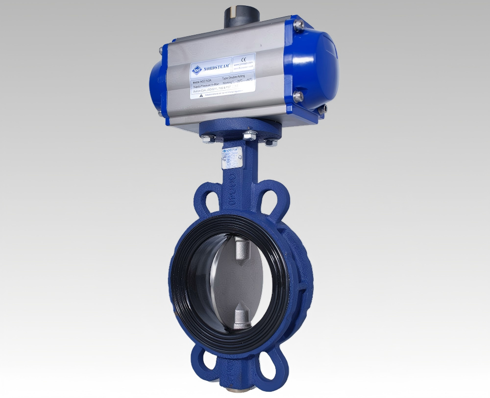 Valve support ring