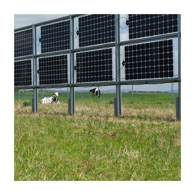 Agricultural Sites Bifacial Panels Vertical Pole Mount Solar Mounting Steel Brackets