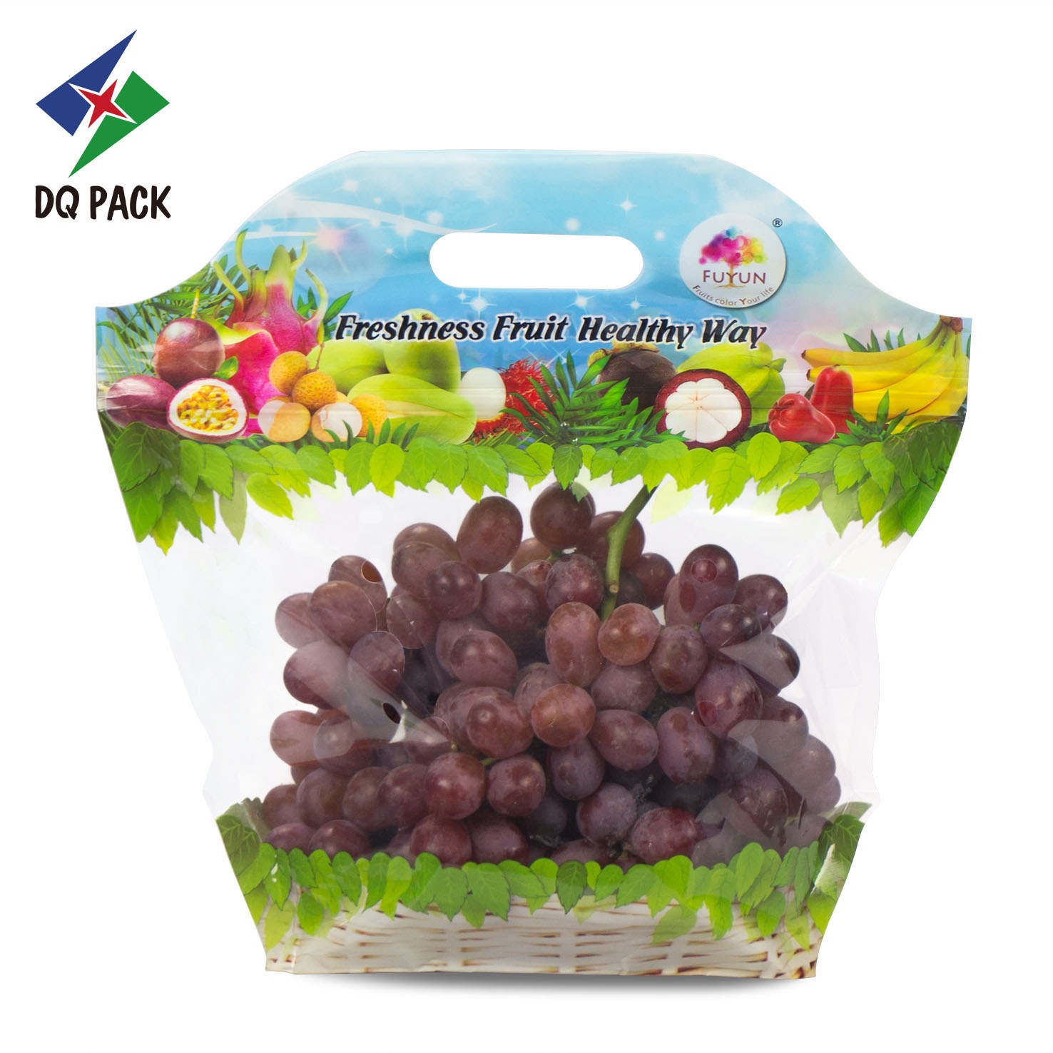 DQ PACK Transparent Fruit Stand Up Zipper Bag Plastic Packaging Pouch With Patch Handle