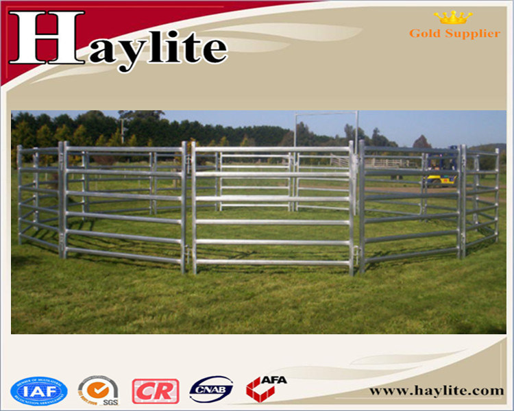 Australia Standard Cattle Panel Crush Loading Ramp Cattle Yard